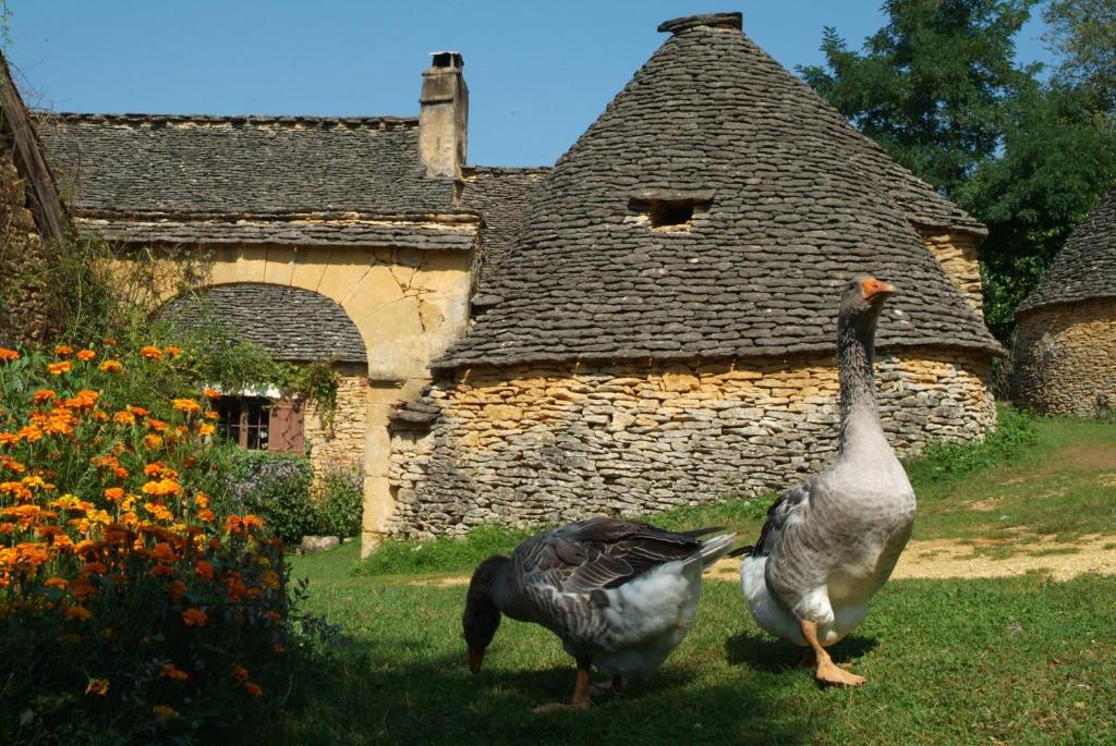 Madame Vacances - Residence Du Golf D'Armagnac Eauze Номер фото